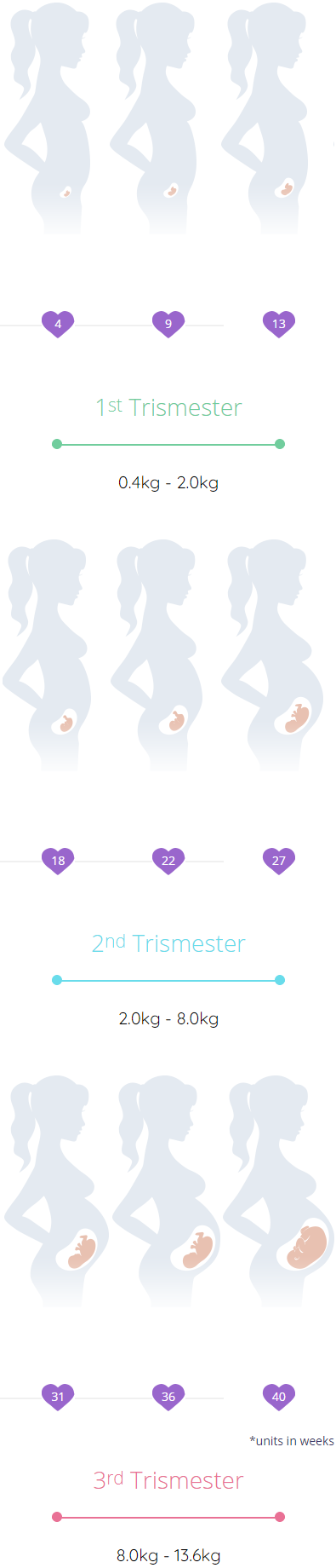 Surrogacy with frozen embryo transfer (FET)-Trimester Chart 2